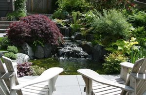 Patio backyard with waterfall, pond, and maple