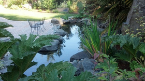 Beaverton Patio with fish pond water feature