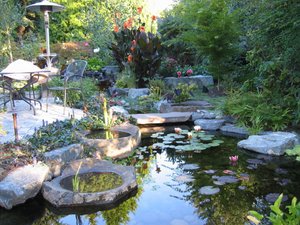 Tigard serene backyard pond with water lilies