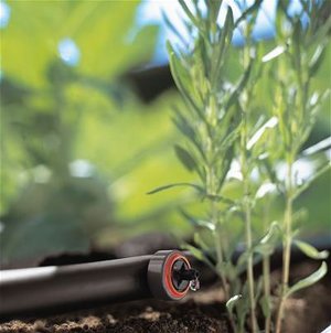 Drip irrigation brings water directly to plants