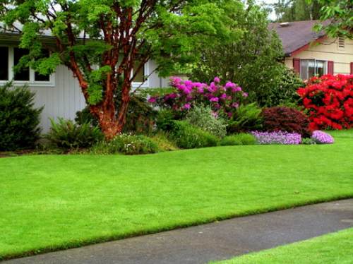 Nice house Portland lawn