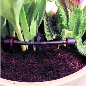 Drip system head for vegetable garden, Oregon Irrigation