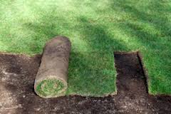 Laying out sod, West Linn Landscaper