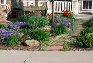 Xeriscaping Portland Oregon Landscaping Contractor Lake Oswego Or,Origami For Beginners Step By Step